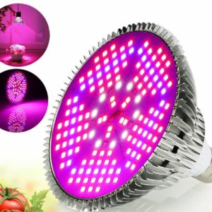 Lâmpada 100w Led Grow Full Spectrum Ir E27 Bivolt Indoor Nf - Azul, vermelha, IR, Branco - BIVOLT IR