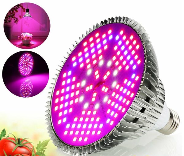 Lâmpada 100w Led Grow Full Spectrum Ir E27 Bivolt Indoor Nf - Azul, vermelha, IR, Branco - BIVOLT IR