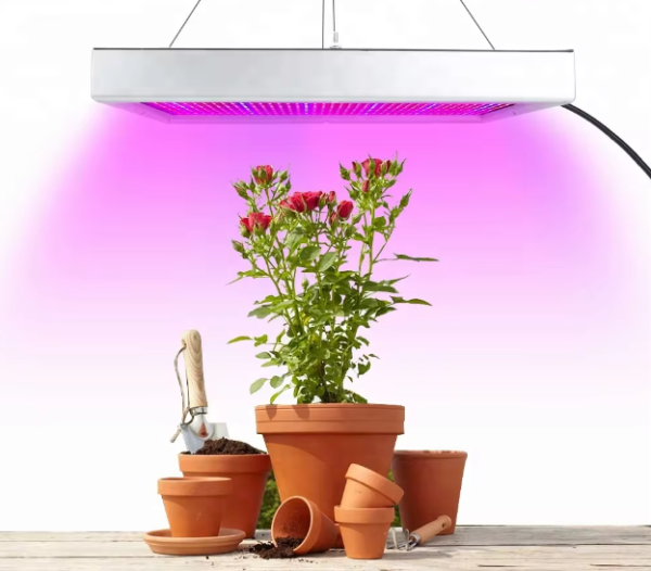 Led Grow Full Spectrum 1000w Ir Uv Lâmpada Cultivo Indoor