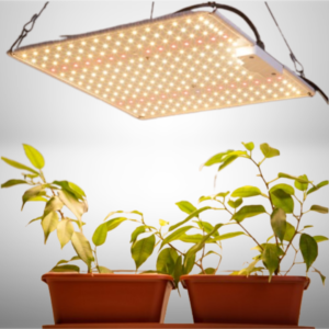 Quantum Board Samsung Led Lm281b+ Ir Uv Grow 30.000 Lumens