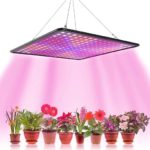 Led Grow Full Spectrum 500w Lâmpada Cultivo Indoor Bivolt